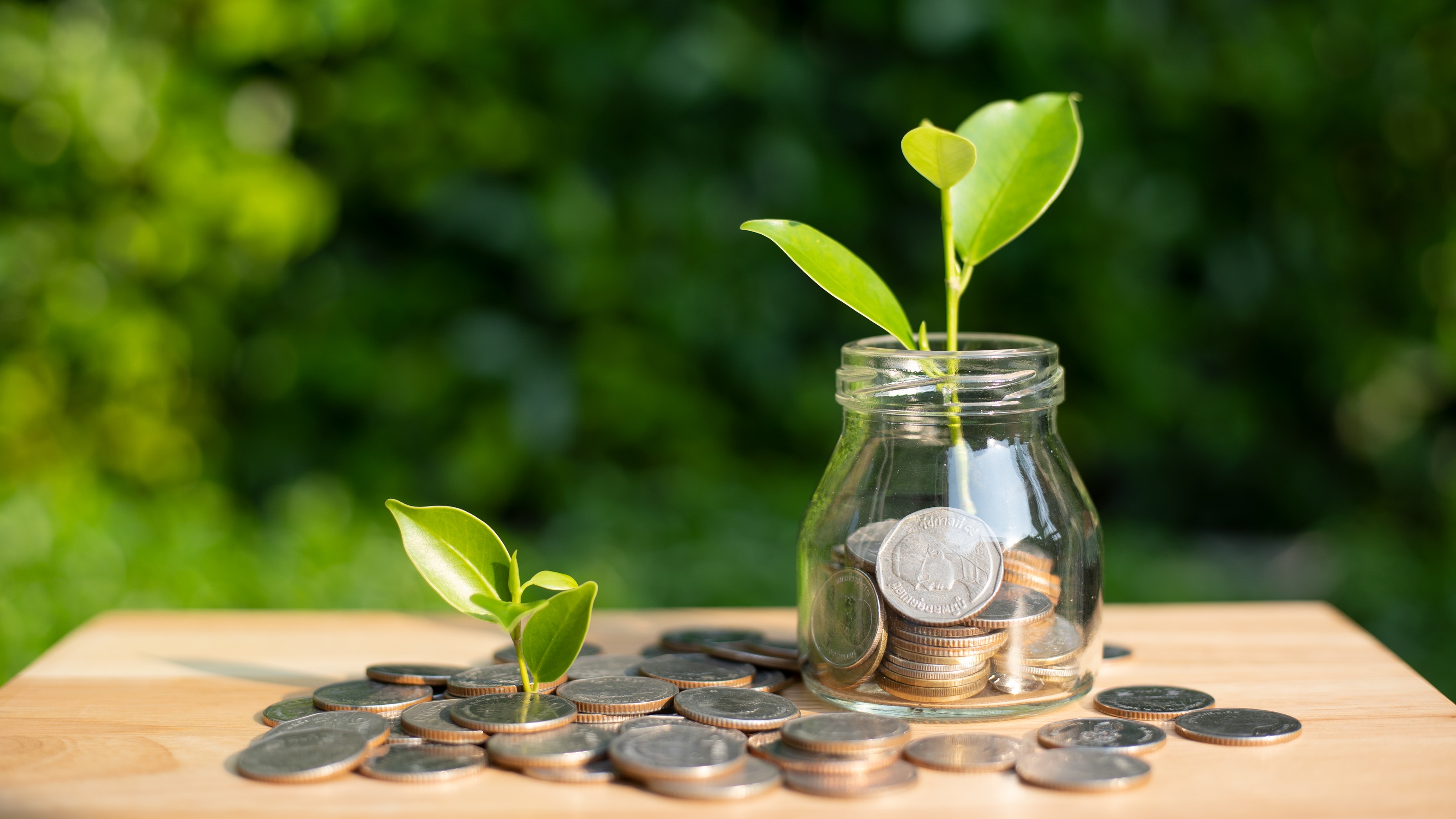 A scattering of coins across a wooden board and filling a glass jar, along with two growing sprouts. 