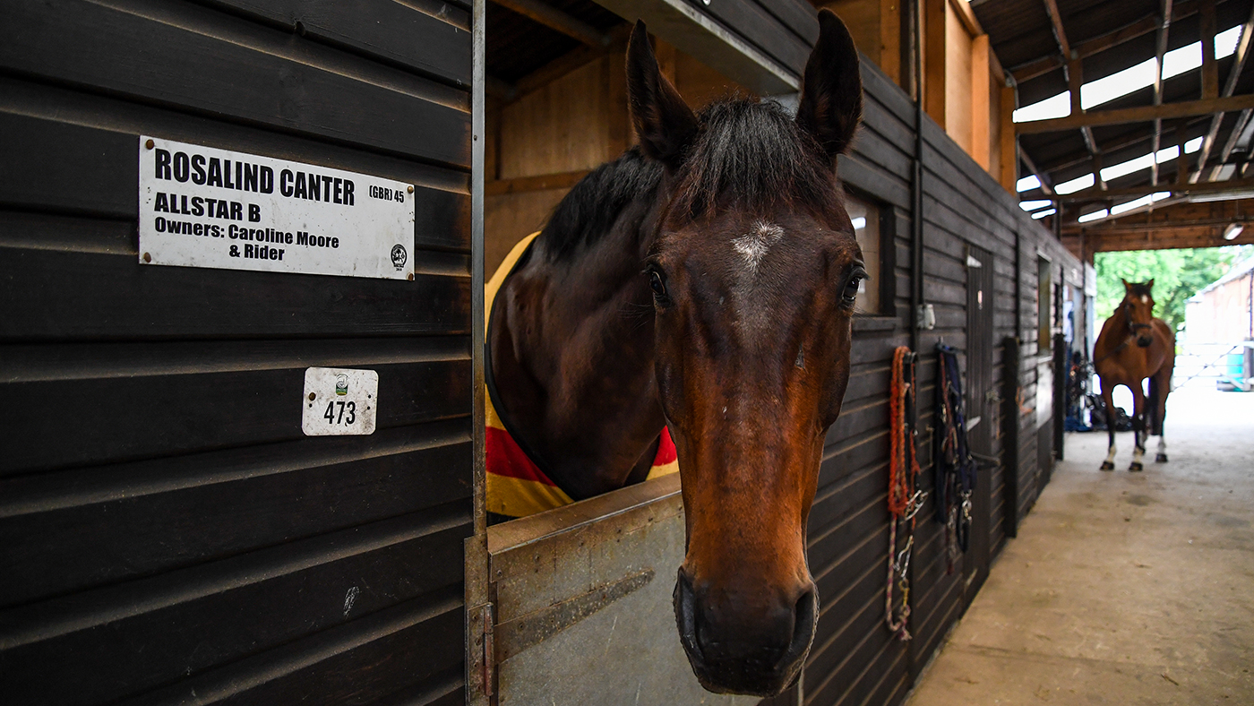 AAA Ros Canter 03 07 2020 Allstar B at Ros's yard at Home Farm near Louth in Lincolnshire in the UK on the 3 July 2020