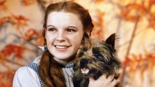 Toto dog and Judy Garland from the wizard of oz