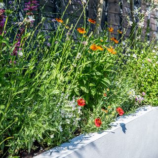 garden flowers