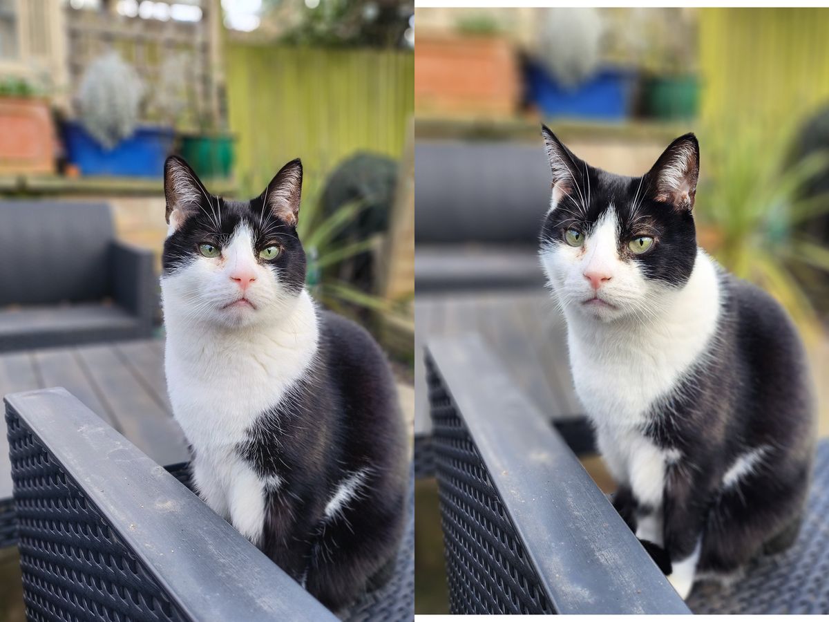 Oppo Find N2 Flip camera sample Samsung Galaxy Z Flip 4 comparison portrait
