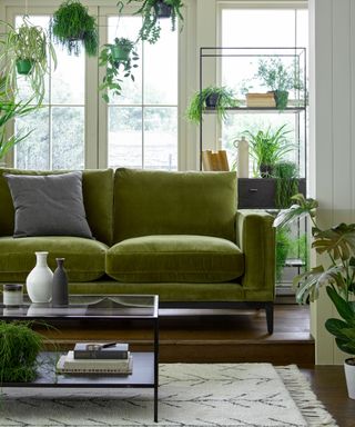 Living room with green sofa in foreground