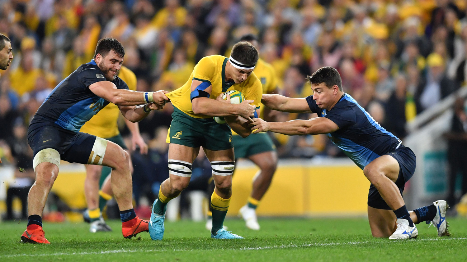 Australia vs Argentina live stream how to watch the final round of the 2020 Tri Nations rugby What Hi-Fi?