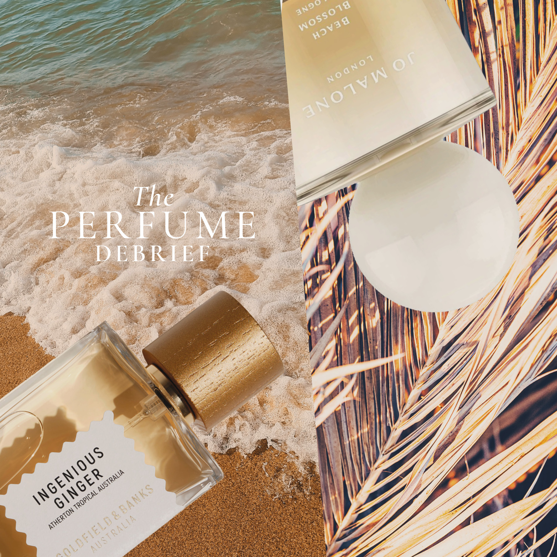 The perfume debrief