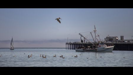 Santa Cruz, California