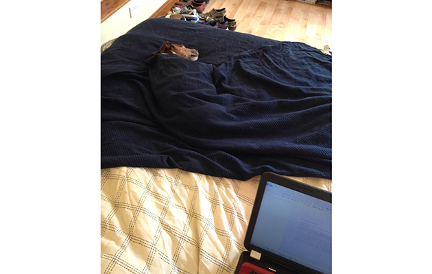 Pringle snuggled next to me as I write