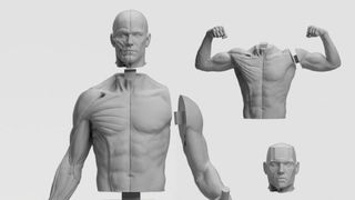 Different components of the male multipart kit, including the head, torso and arms