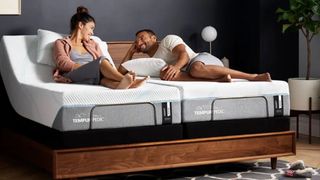 Tempur-Pedic Tempur-Ergo Power Bed Base