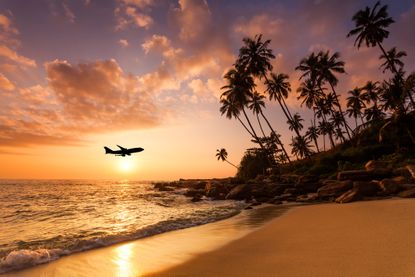 a tropical beach at sunset with a plane flying in the distance