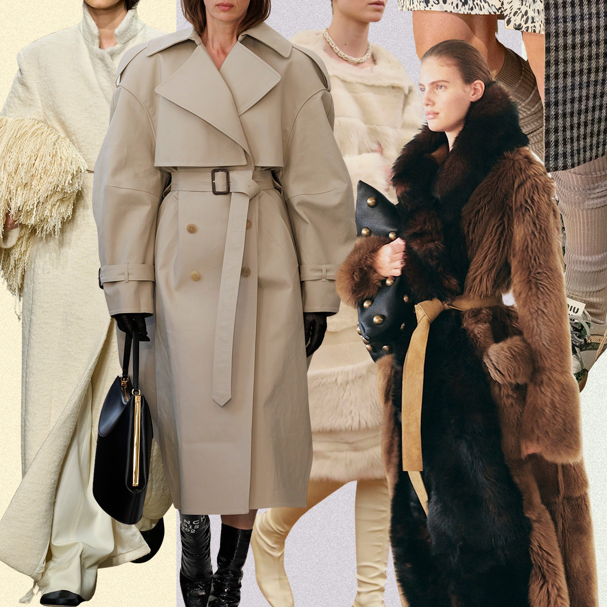 Fall trends