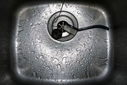 Kitchen sink drain