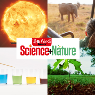 Science+Nature promo image