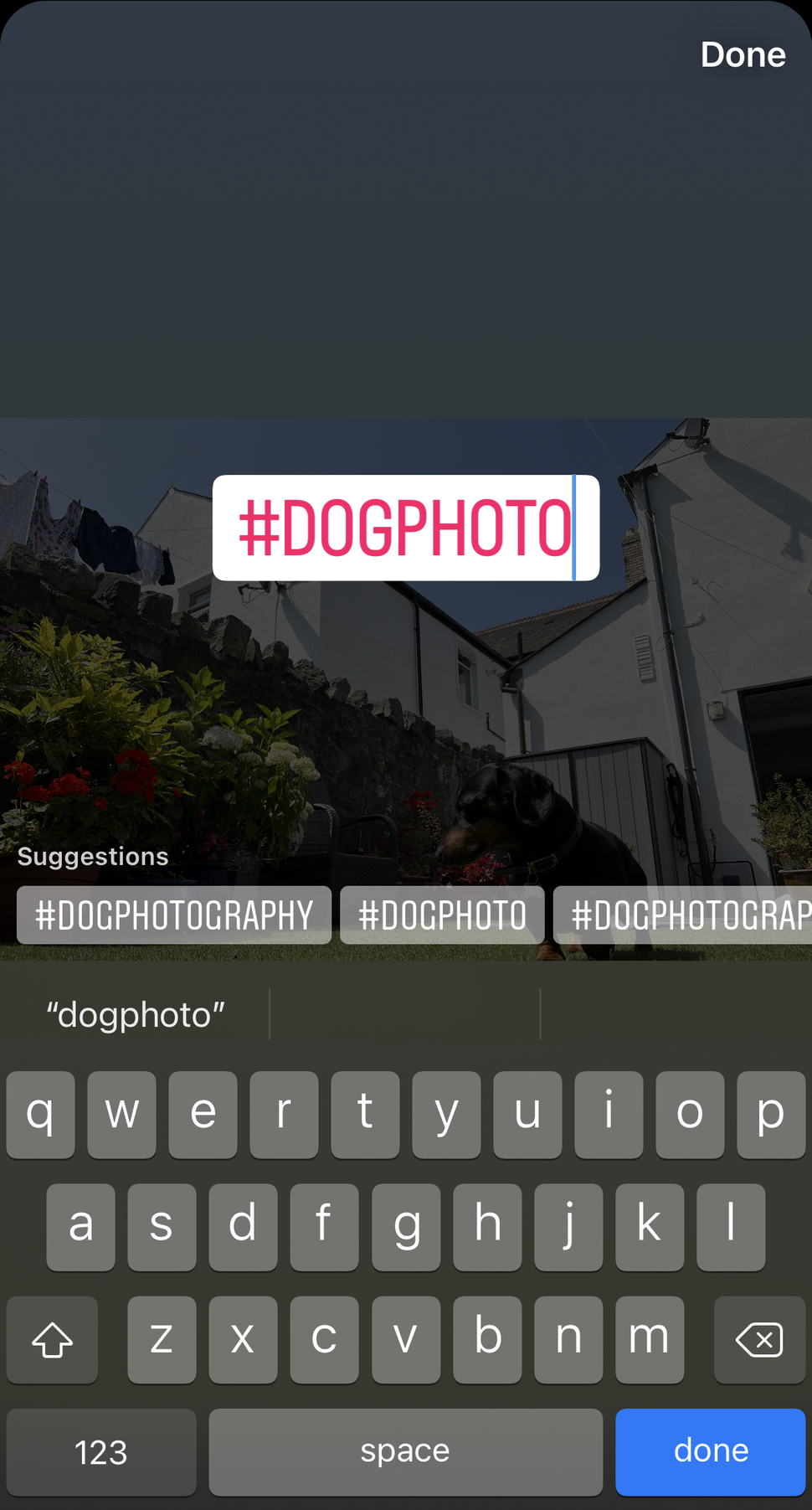 How To Use Instagram Hashtags | Digital Camera World