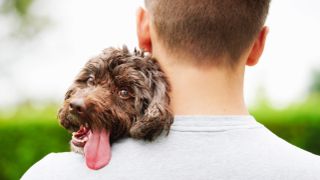 Dog resting head on man's shoulder