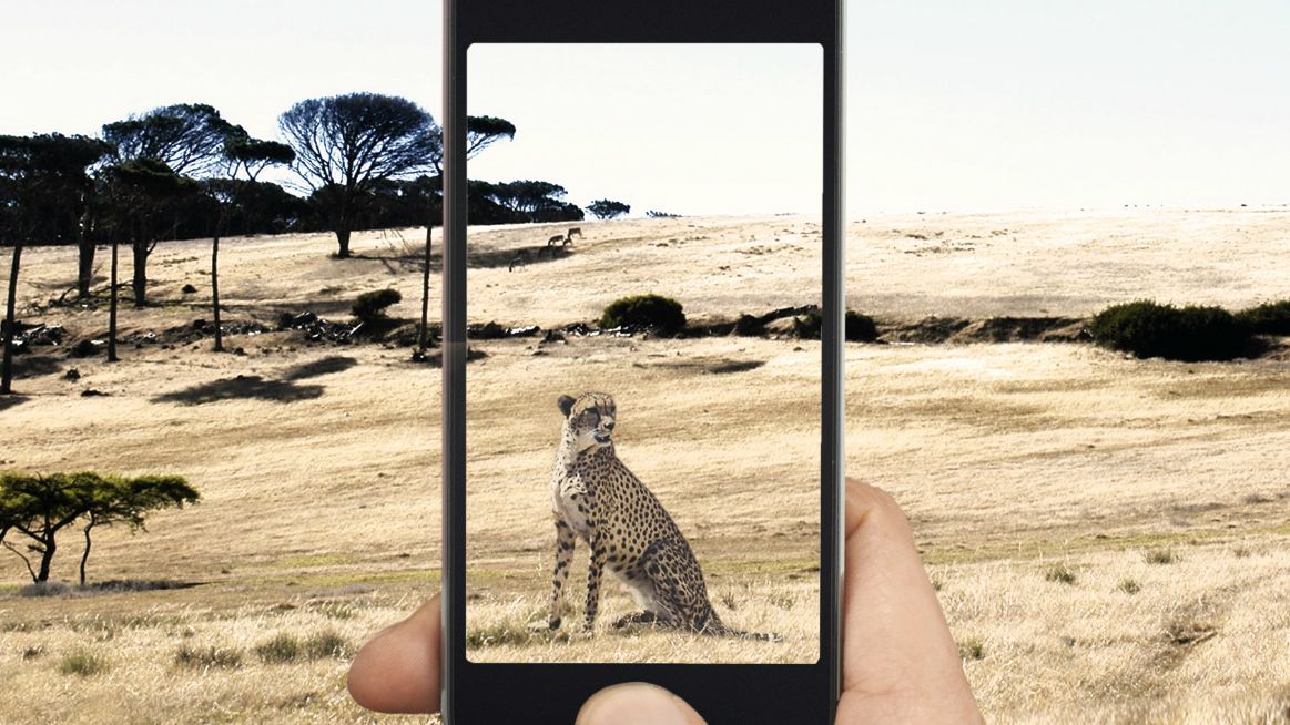 Galaxy S10: Samsung just dropped a Galaxy S10 just received a huge speed