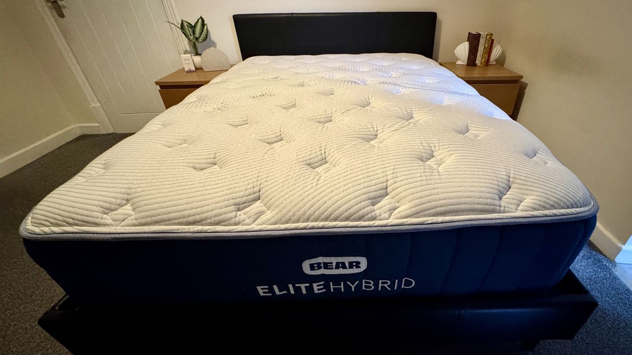 Bear Elite Hybrid Mattress on black bedframe in bedroom with two wooden bedside cabinets
