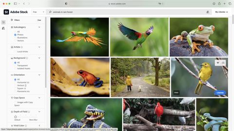 Adobe Stock Review | TechRadar