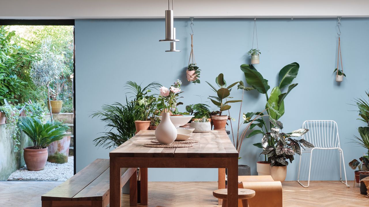 dining room wall decor ideas, blue dining room with table and benches, blue wall with hanging plants, Farrow &amp; Ball