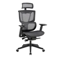 Flexispot C7B-Air