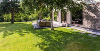 summer lawn with patio area and trees providing shade to show why a moss lawn is good