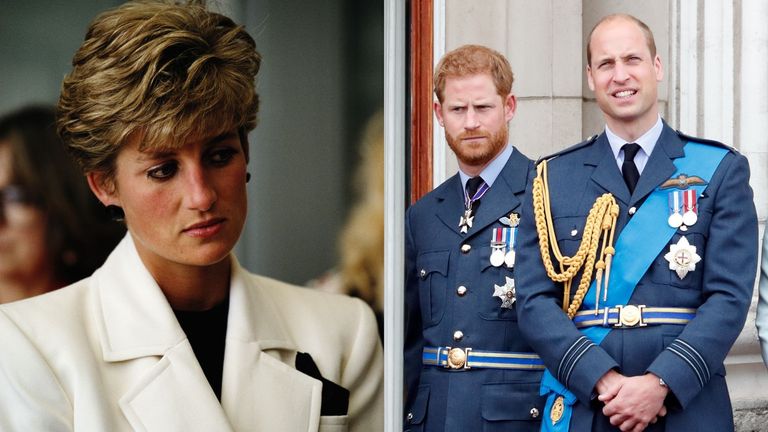 Princess Diana and Prince William and Prince Harry together