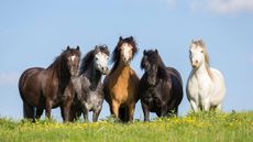 alamy-EWCKY0_322046611_515484941.jpg