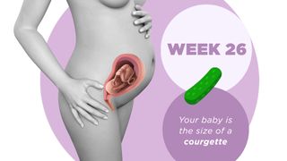 Pregnancy week by week 26