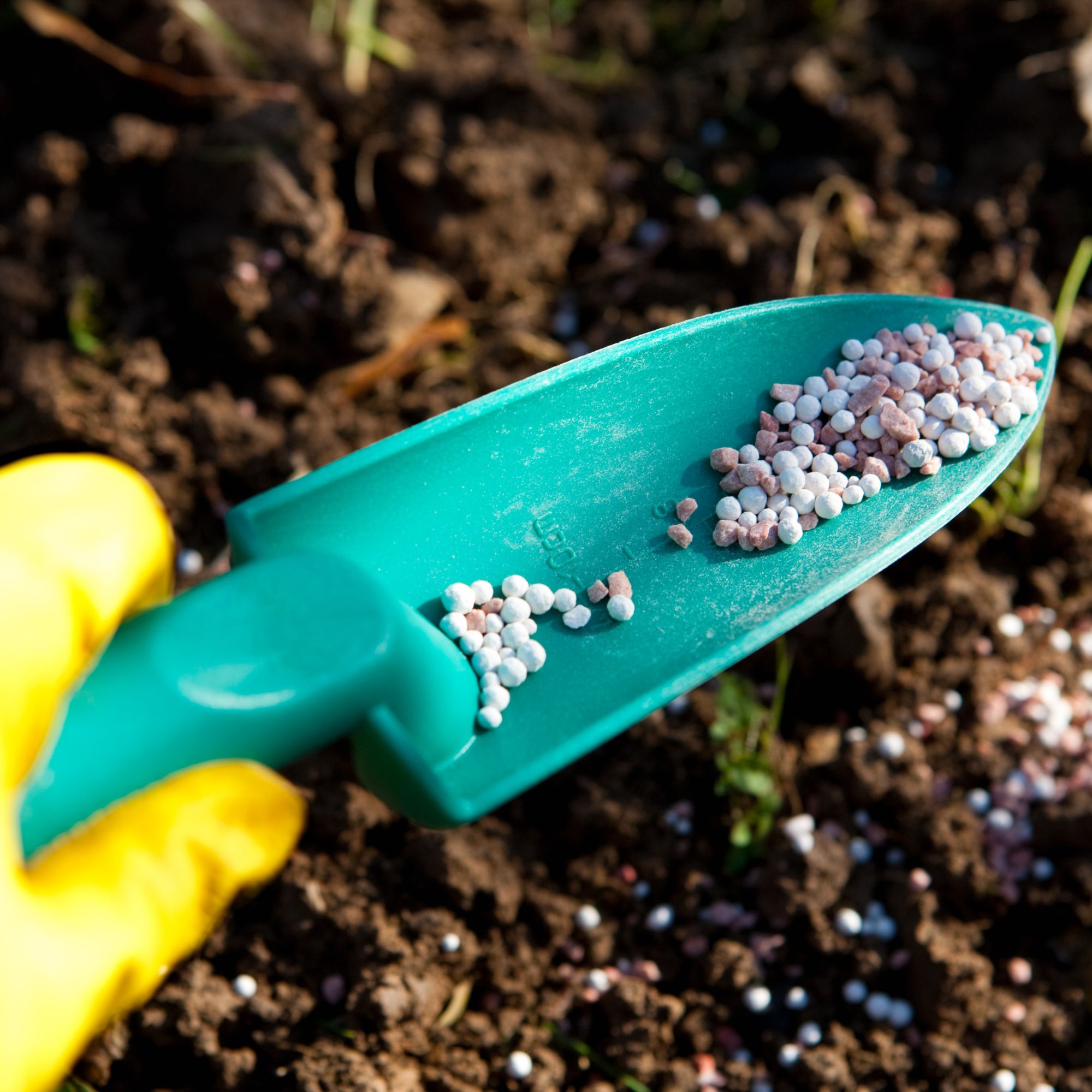 plant fertiliser in scoop