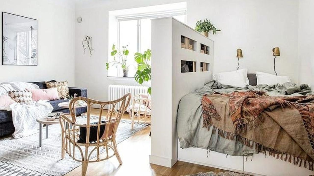 Studio apartment with bookshelf and potted plants