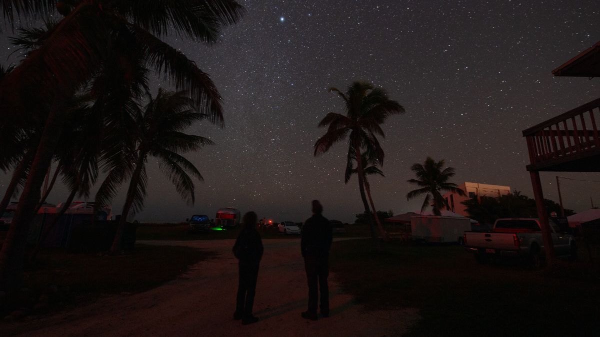 palm tress pepper the skyline and two people stand and look at a star filled sky.