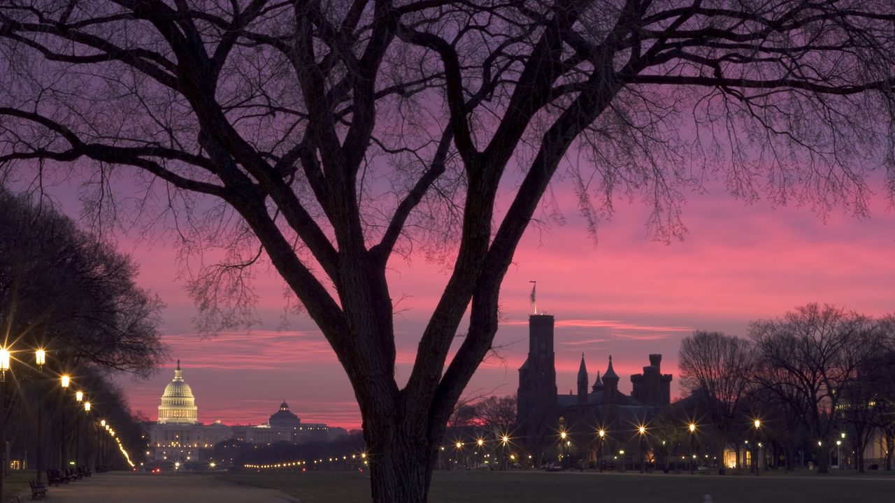 Washington DC Sunrise