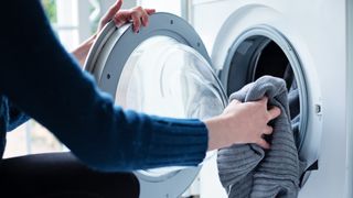 Bed bugs on dogs: woman loading washing into washing machine