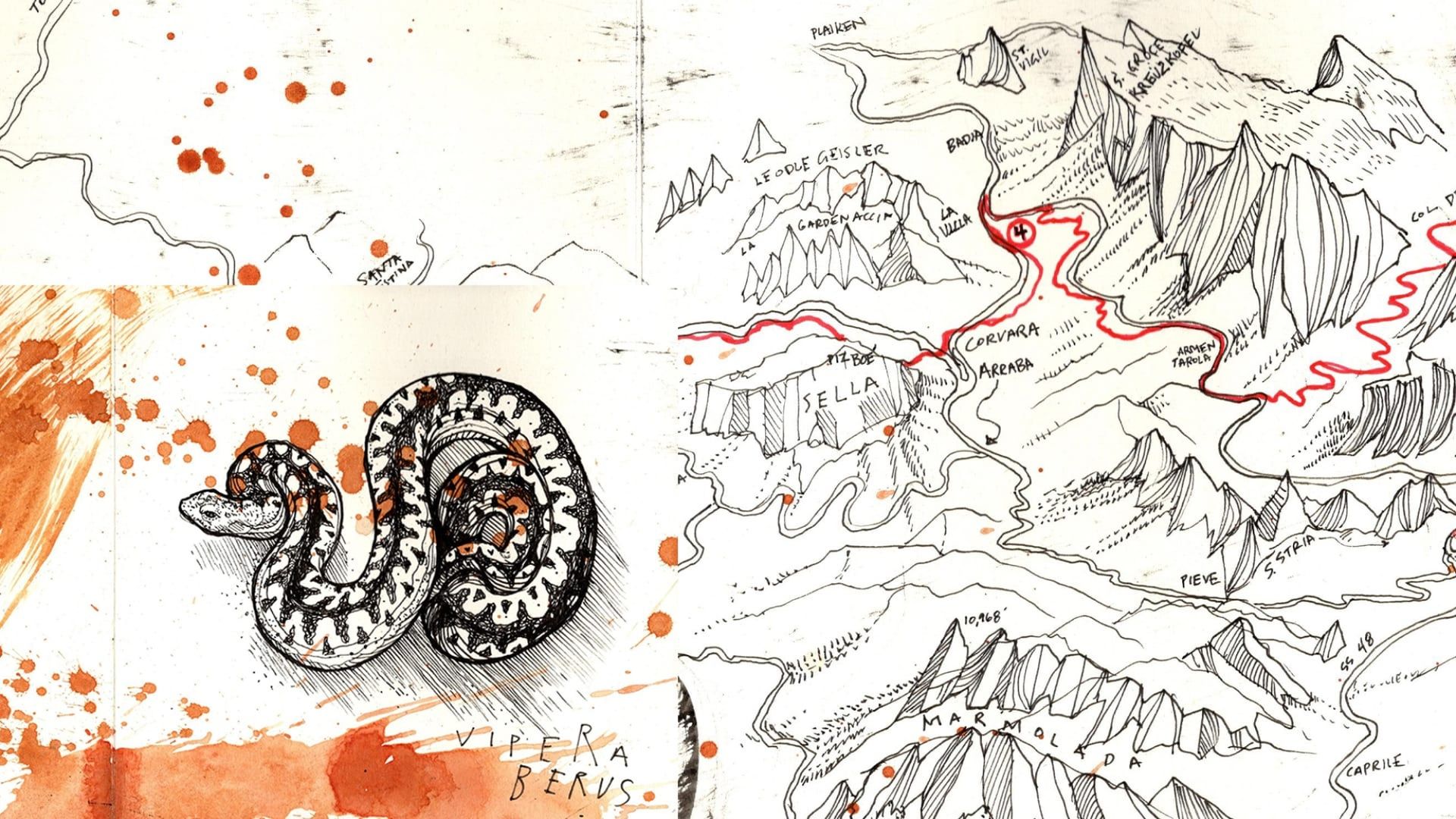 Image shows Jeremy Collins' artwork that inspired his Brooks B17 saddle design