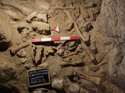 Neanderthal remains found in an Italian cave.