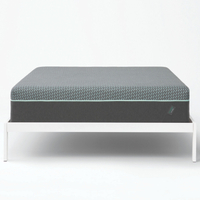 Tuft &amp; Needle Mint Hybrid mattress: was