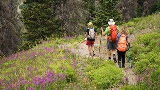 Three people hike along a trail surrounded by wildflowers in Colorado