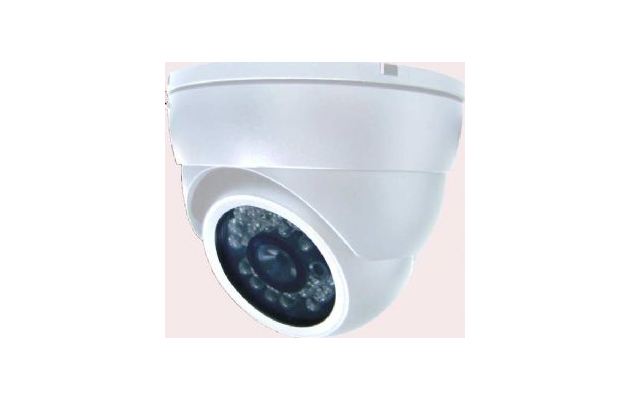 CCTV foal camera