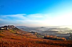 Pelaverga-verduno-Piedmont