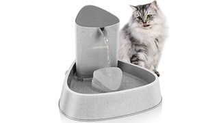 Cat water fountain