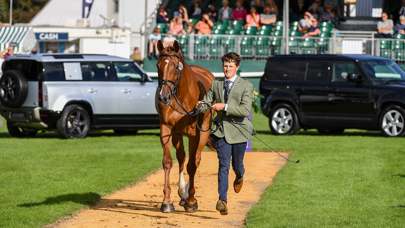 Tom McEwen&amp;rsquo;s groom Adam Short turns out CHF Cooliser for the trot-up
