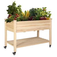 Wooden Raised Garden Bed: was $118 now $77 @ Home Depot