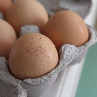 close up of eggs in egg box