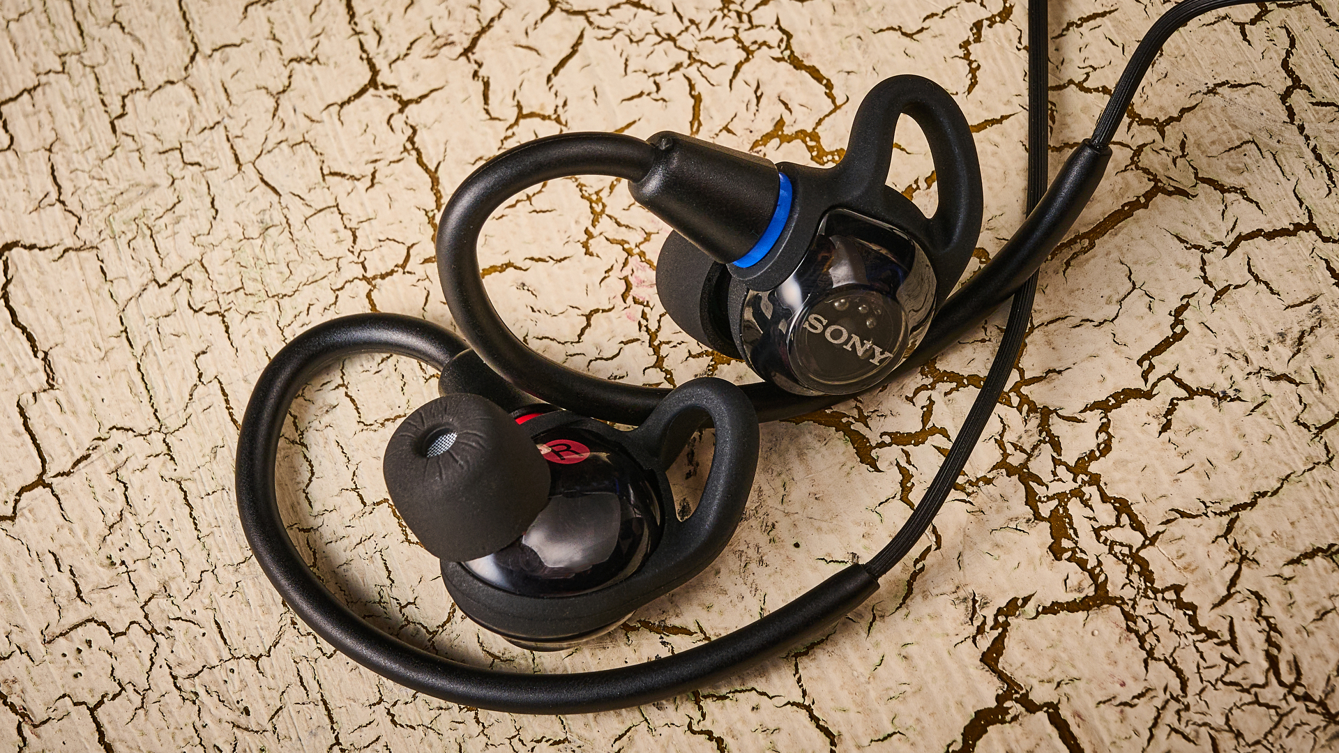 Sony IER-M500