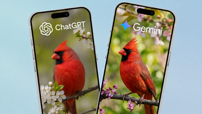 Two cardinals on phones