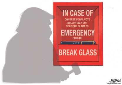 Political Cartoon U.S. Trump national emergency veto breaking glass