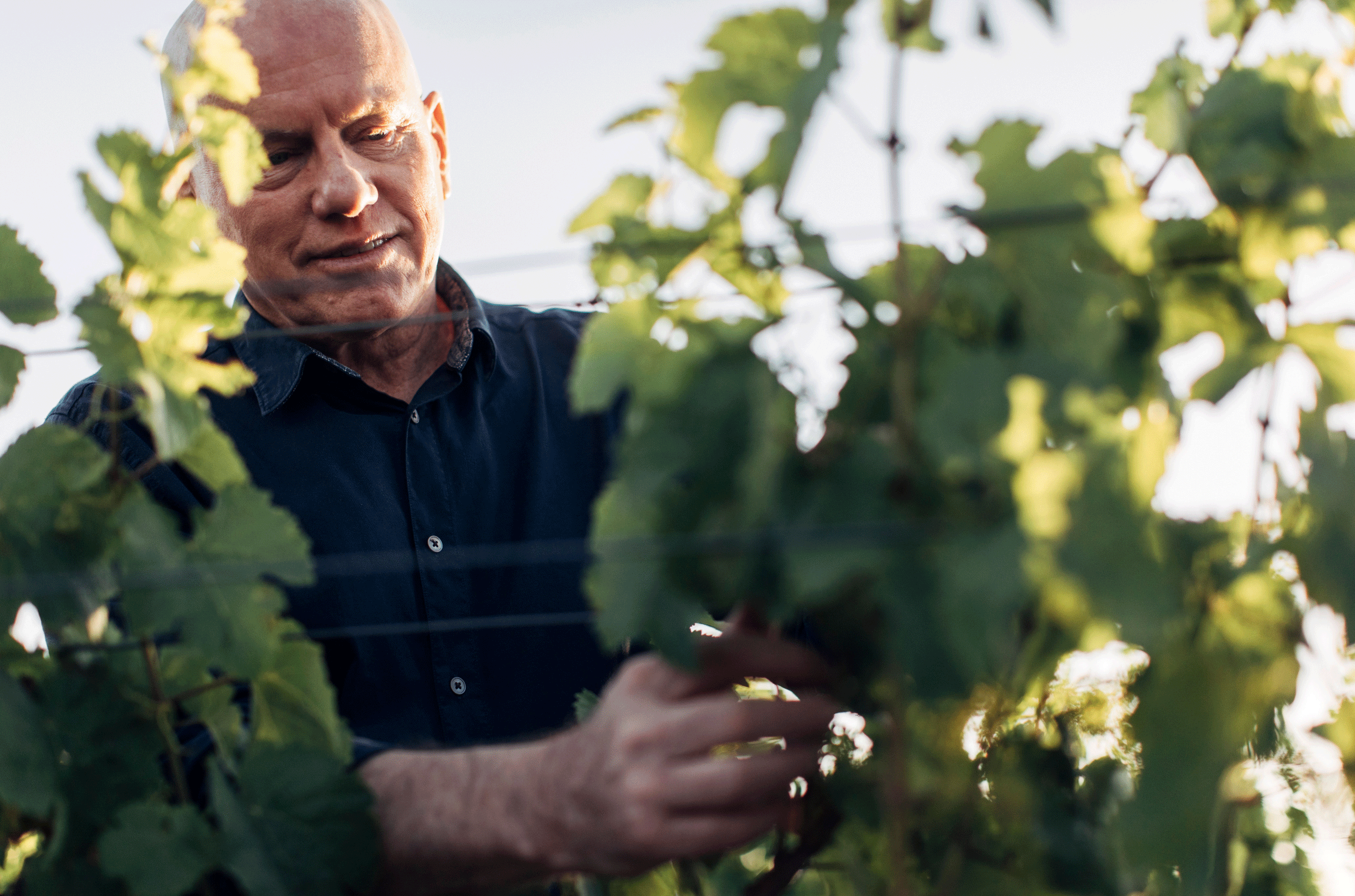 Jeffrey Grosset, Grosset Wines, Clare Valley