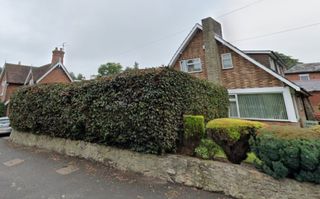 A 6-foot garden hedge with a small brick wall underneath