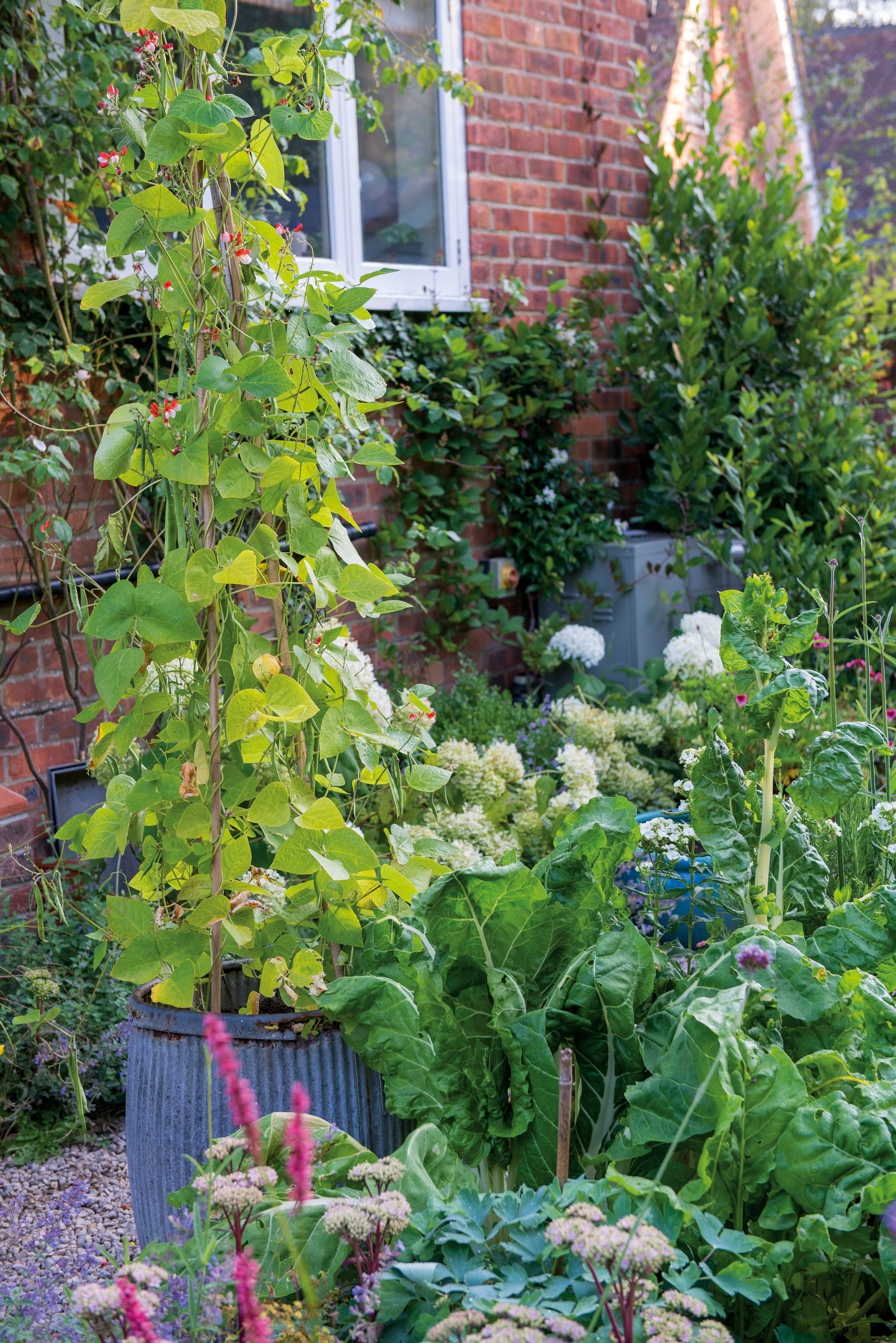 container planting with upcycled containers