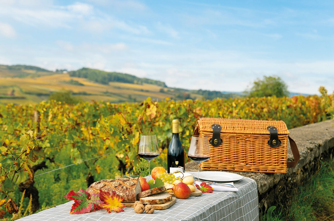 Ch&amp;acirc;teau la Commaraine picnic in the vineyards