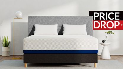 cheap mattress deals amerisleep